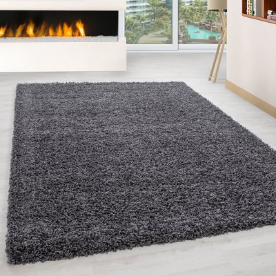 Tapis intérieur à poils longs OTTAWA NAZAR RUGS