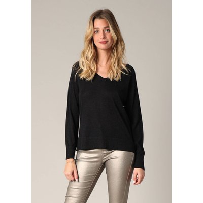 Pull à col v en maille fine
 AMALIA DEELUXE