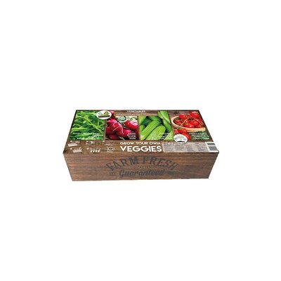 Carré de Potager Légumes avec mini serres FLOREX