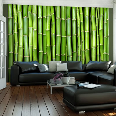 Papier peint intissé panoramique Orient Mur vert bambou EDEN