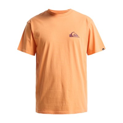 T-shirt à manches courtes EV MINI LOGO QUIKSILVER