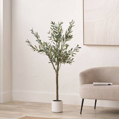 150cm Olive Tree in Pot SO'HOME