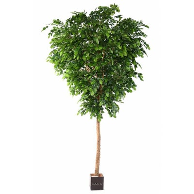 Hêtre Arbre Artificiel H 400 cm Tronc bois ARTIFICIELLES