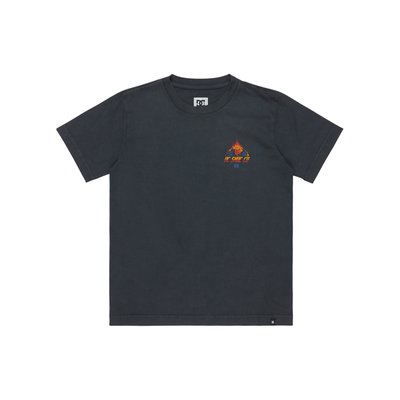 T-shirt à manches courtes FREE FALL. DC SHOES