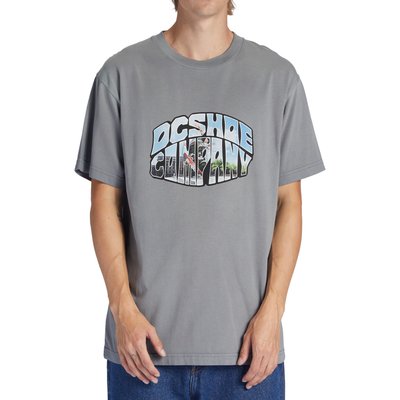 T-shirt CITYWIDE. DC SHOES