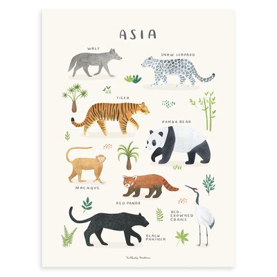 Affiche enfant animaux d'Asie LIVING EARTH LILIPINSO