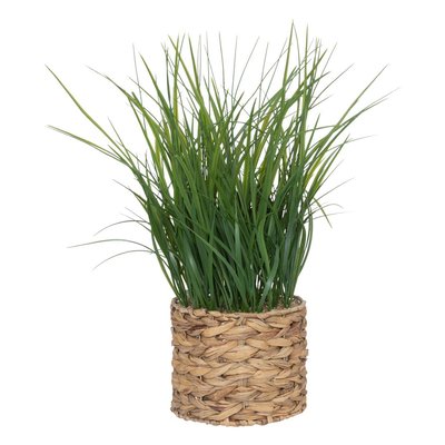 Plante artificielle ATMOSPHERA