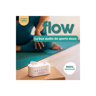 Box audio sport FLOW MORPHEE