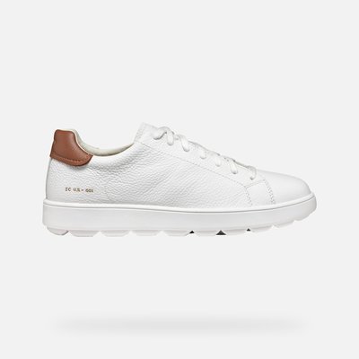Baskets  U SPHERICA ECUB-1 GEOX