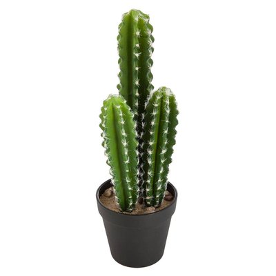 Cactus artificiel ATMOSPHERA