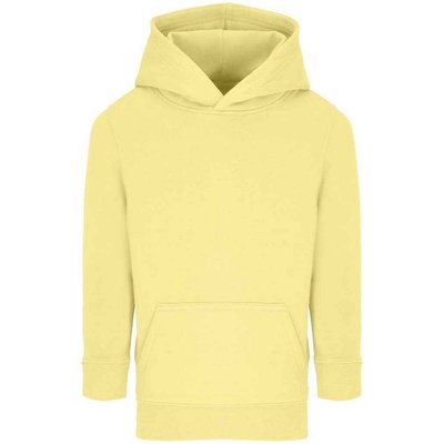 Sweat à capuche CONNOR SOLS