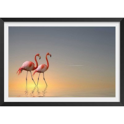 Affiche animaux flamands bleus HEXOA