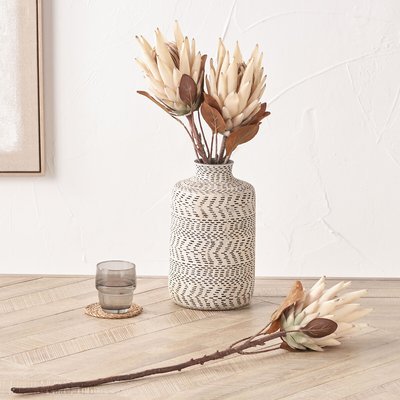 Set of 6 71cm Natural Apricot Protea Stems SO'HOME