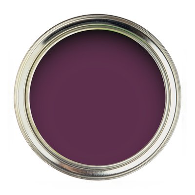Water Based Eggshell Paint Meadow Violet SANDERSON
