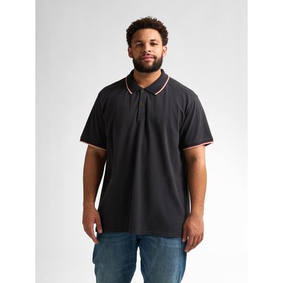 Polo classique plus size cocobreeze PETROL INDUSTRIES