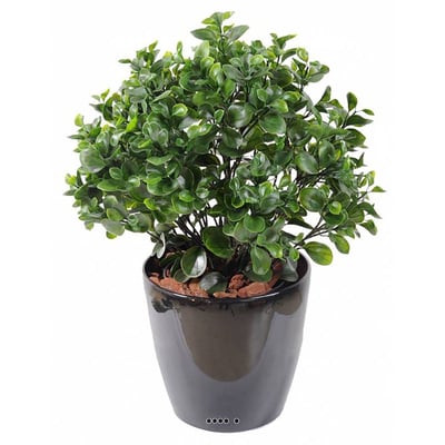 Peperomia artificiel en pot buisson extérieur ARTIFICIELLES