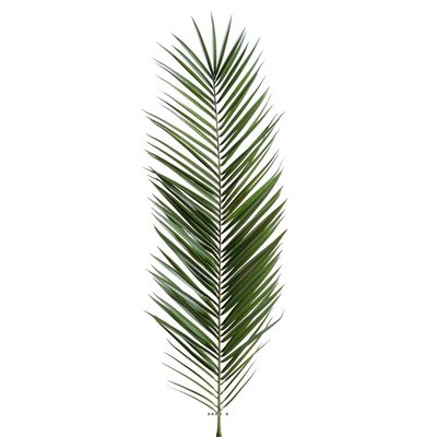 Feuille de palmier Phoenix artificielle ARTIFICIELLES