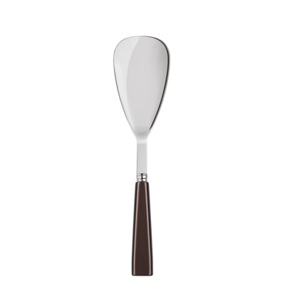 Cuillère à riz, Icône SABRE
