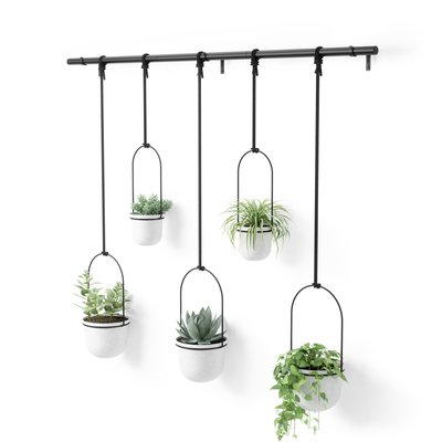 Ensemble de 5 pots suspendus - TRIFLORA UMBRA