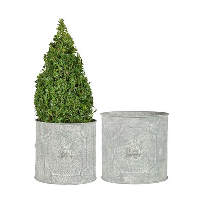 Pot de fleurs ronds Lion (Lot de 2) JARDINDECO