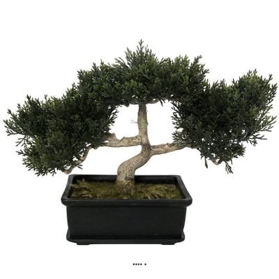 Bonsai artificiel Cedre H 23 cm 113 feuilles ARTIFICIELLES