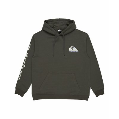 Kapuzensweatshirt mit kleinem Logo QUIKSILVER