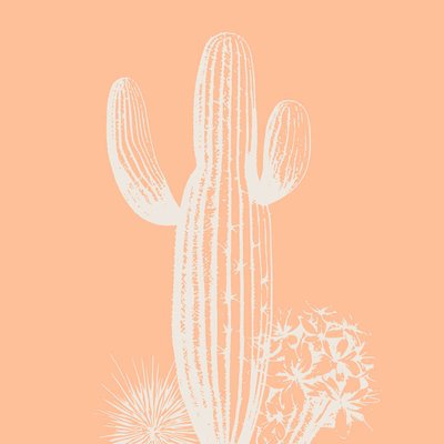 Tableau Mural Cactus Sobre NATURE ÉVASION CEANOTHE