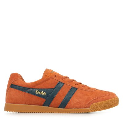 Baskets Harrier GOLA