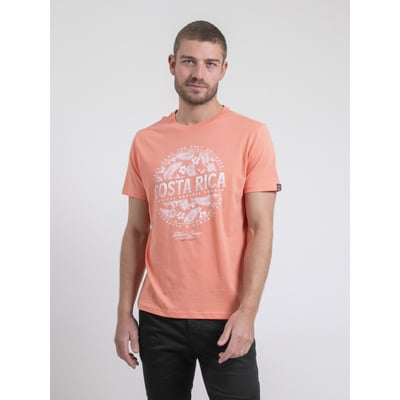 T-shirt Col Rond Pur Coton Nevolta RITCHIE