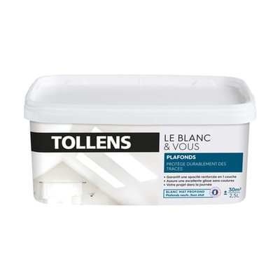 Peinture De Finition Le Blanc & Vous Mat Spécial Plafond 2,5 L TOLLENS