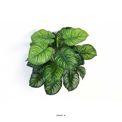 Calathea artificiel en piquet 22 feuilles ARTIFICIELLES