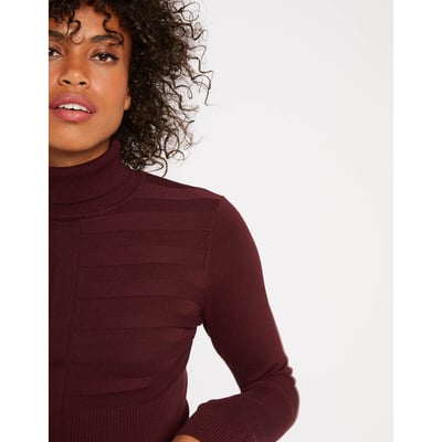 Pull col roulé fine maille MORGAN
