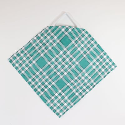 Lot de 2 bavoirs coton carreaux vichy CLEAN KID LINANDELLE