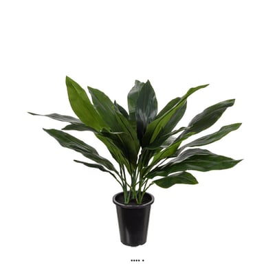 Aspidistra artificiel en pot, feuillage dens ARTIFICIELLES