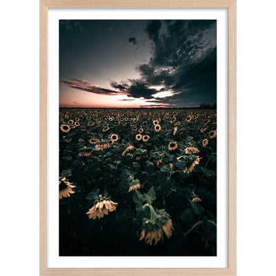 Affiche fleurs wake up sunflowers! HEXOA