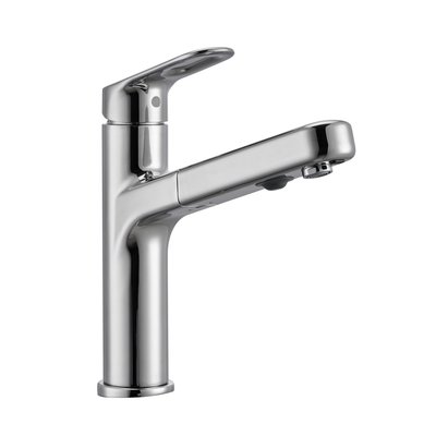 Mitigeur de cuisine avec douchette Brillant ICONE DELINIA