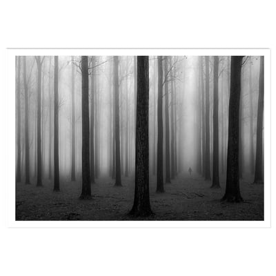 Affiche nature foggy weather HEXOA