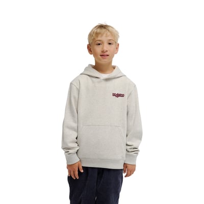 Sweat capuche EYE OF THE STORM. DC SHOES