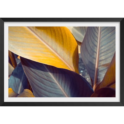 Affiche palm leaves y HEXOA