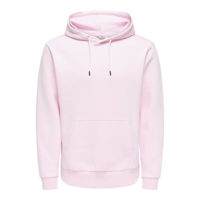 Sweat à capuche Ceres Life ONLY & SONS
