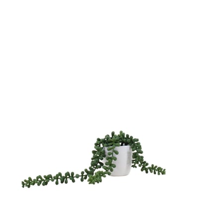 Plante grasse artificielle tombante pot céramique 23cm ORNAMI