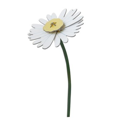 Fleur décorative carton marguerite  Daisy STUDIO ROOF