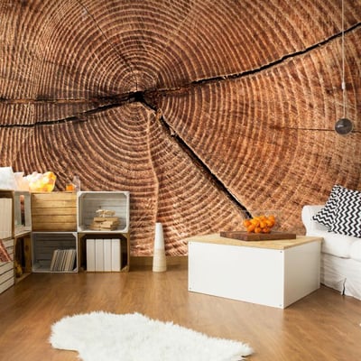 Papier peint intissé panoramique Coupe d'un tronc d'arbre EDEN