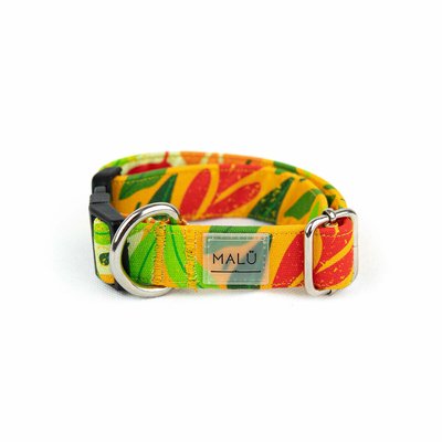 Coleira para cão Tami, Malü Pet Wear MALU PET WEAR