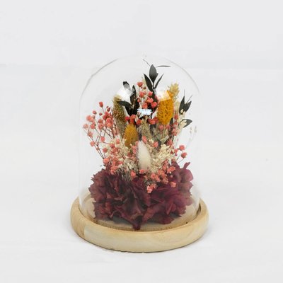 Cloche de fleurs séchées AGATHE RECONCILIATION VEGETALE