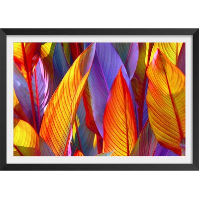 Affiche palm leaves yellow background HEXOA