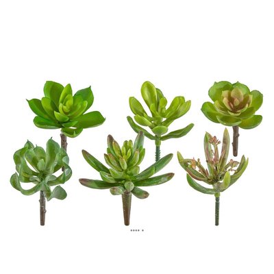 Plantes grasses artificielles succulentes ARTIFICIELLES