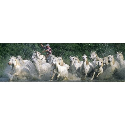 Tableau Mural Chevaux Camargue ANIMAUX CEANOTHE
