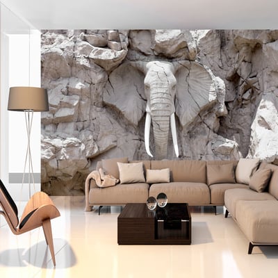 Papier peint intissé panoramique Paysage The Bridge of Time (South Africa) EDEN