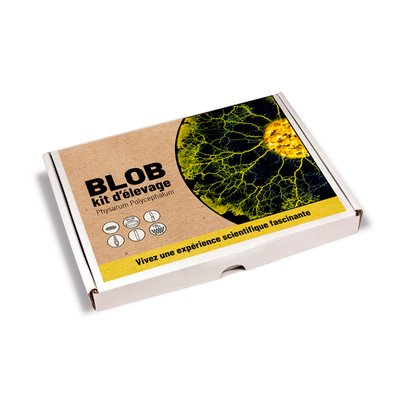 Coffret élevage de blob NATURE ET DECOUVERTES